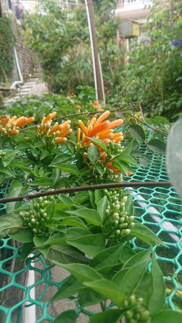 Dalat Inn Homestay Екстер'єр фото